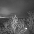 Webcam_20250216-063000