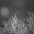 Webcam_20250217-060000