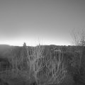 Webcam_20250217-064500