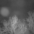 Webcam_20250218-053000