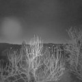 Webcam_20250218-061500