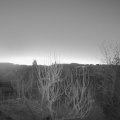 Webcam_20250218-064500