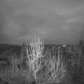 Webcam_20250220-064500
