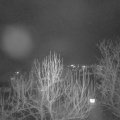 Webcam_20250220-200000