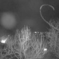 Webcam_20250222-201500