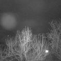 Webcam_20250223-063000