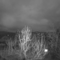 Webcam_20250223-064500