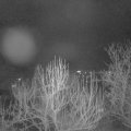 Webcam_20250224-214500