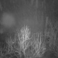 Webcam_20250225-061500