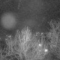 Webcam_20250226-201500