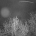 Webcam_20250228-050000