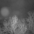 Webcam_20250228-060000
