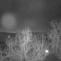 Webcam_20250303-054500