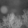 Webcam_20250304-051500
