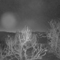 Webcam_20250306-054500