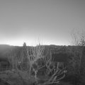 Webcam_20250306-061500