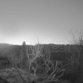 Webcam_20250308-061500
