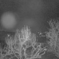 Webcam_20250309-053000