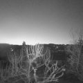 Webcam_20250309-060000
