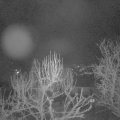Webcam_20250310-050000