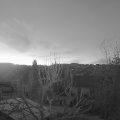 Webcam_20250310-061500