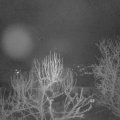 Webcam_20250311-051500