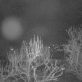 Webcam_20250312-051500