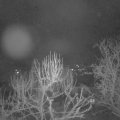 Webcam_20250312-054500