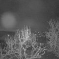 Webcam_20250313-053000