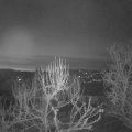 Webcam_20250313-054500