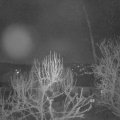 Webcam_20250315-051500