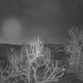 Webcam_20250315-053000