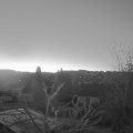 Webcam_20250316-060000