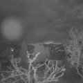 Webcam_20250323-063000