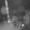 Webcam_20250330-051500