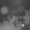 Webcam_20250331-054500