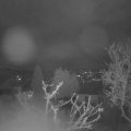 Webcam_20250331-061500