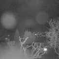 Webcam_20250331-220000