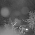 Webcam_20250401-053000