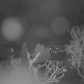Webcam_20250402-053000