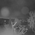 Webcam_20250402-054500