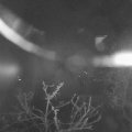 Webcam_20250404-051500