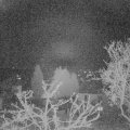 Webcam_20250406-050000