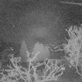 Webcam_20250410-051500