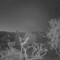 Webcam_20250411-053000
