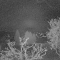 Webcam_20250413-051500