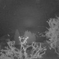 Webcam_20250419-051500