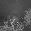 Webcam_20250419-053000