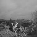 Webcam_20250425-054500