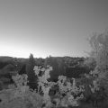 Webcam_20250501-051500